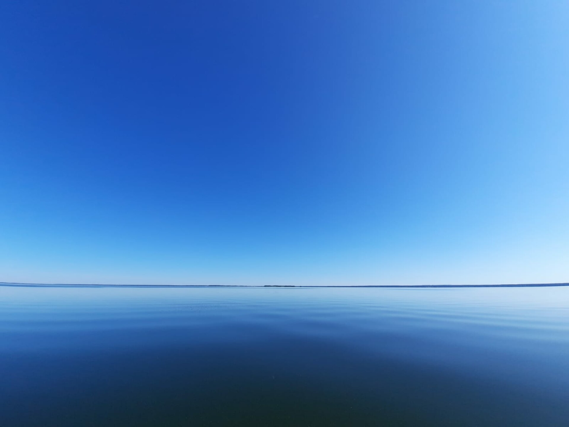 Header background